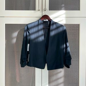 Aritzia Babaton Blazer